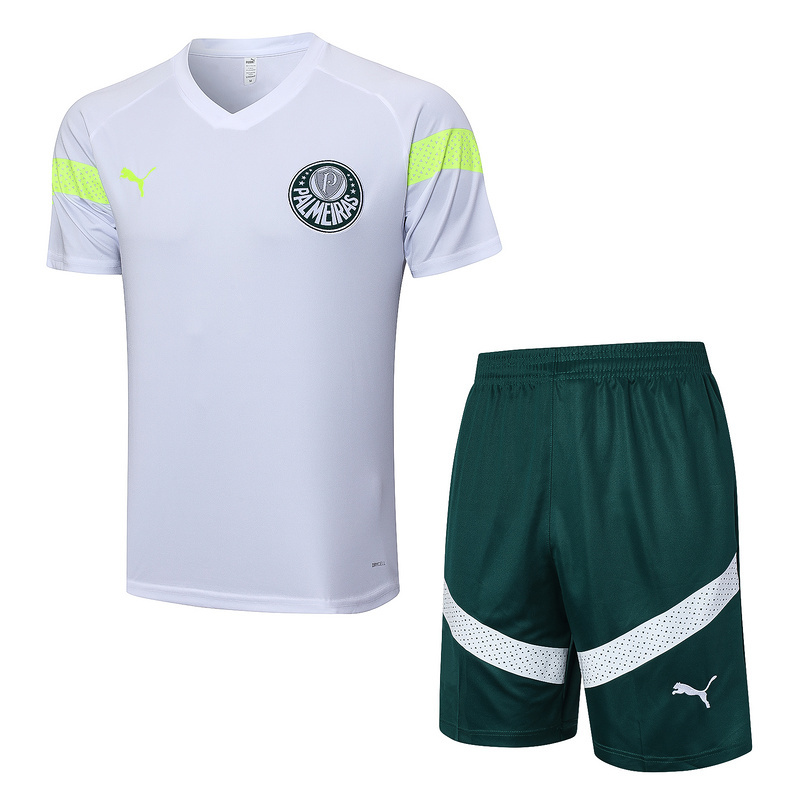 23∕24 Palmeiras Training Soccer Jerseys