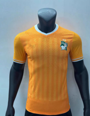 23/24 Côte d’Ivoire soccer jersey 