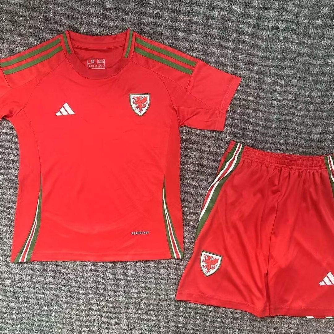 Adults kit 24/25 wales home