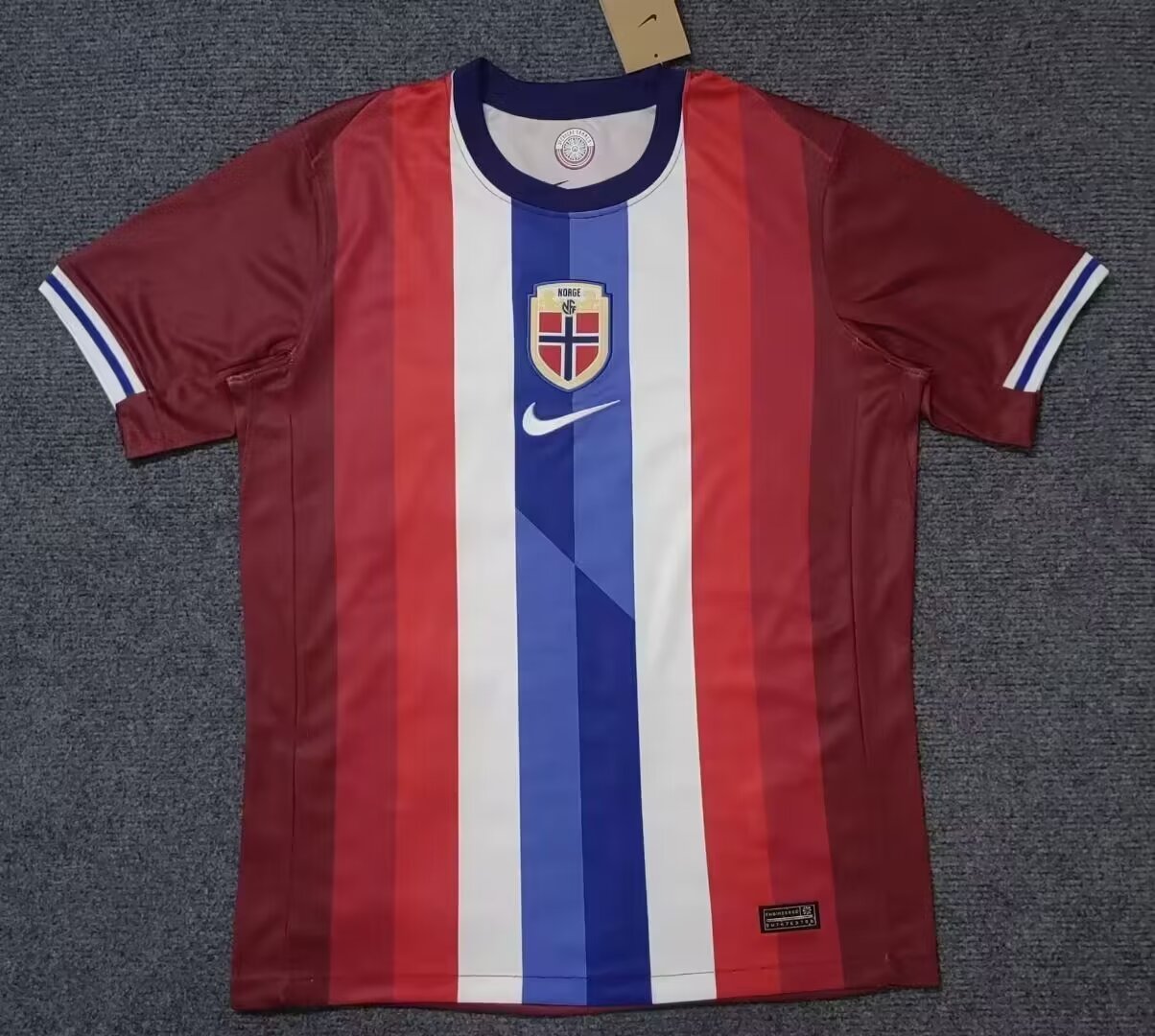 Fans version 24/25 Norway home