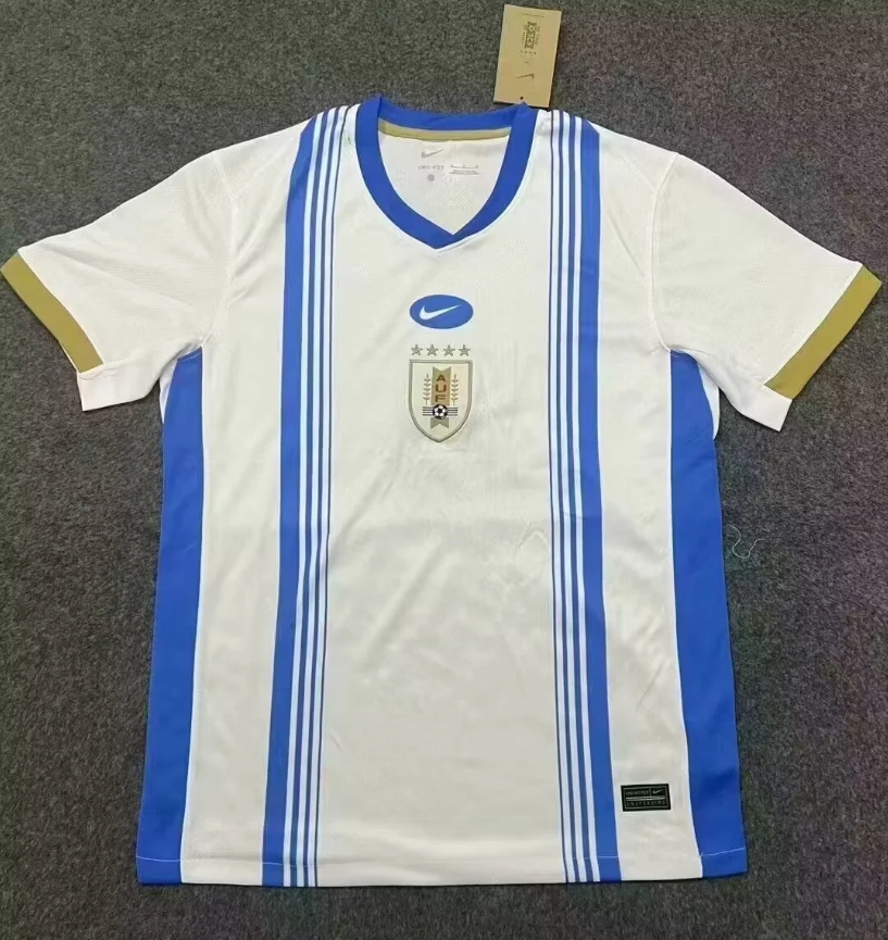 Fans Verison 24/25  Uruguay training wear