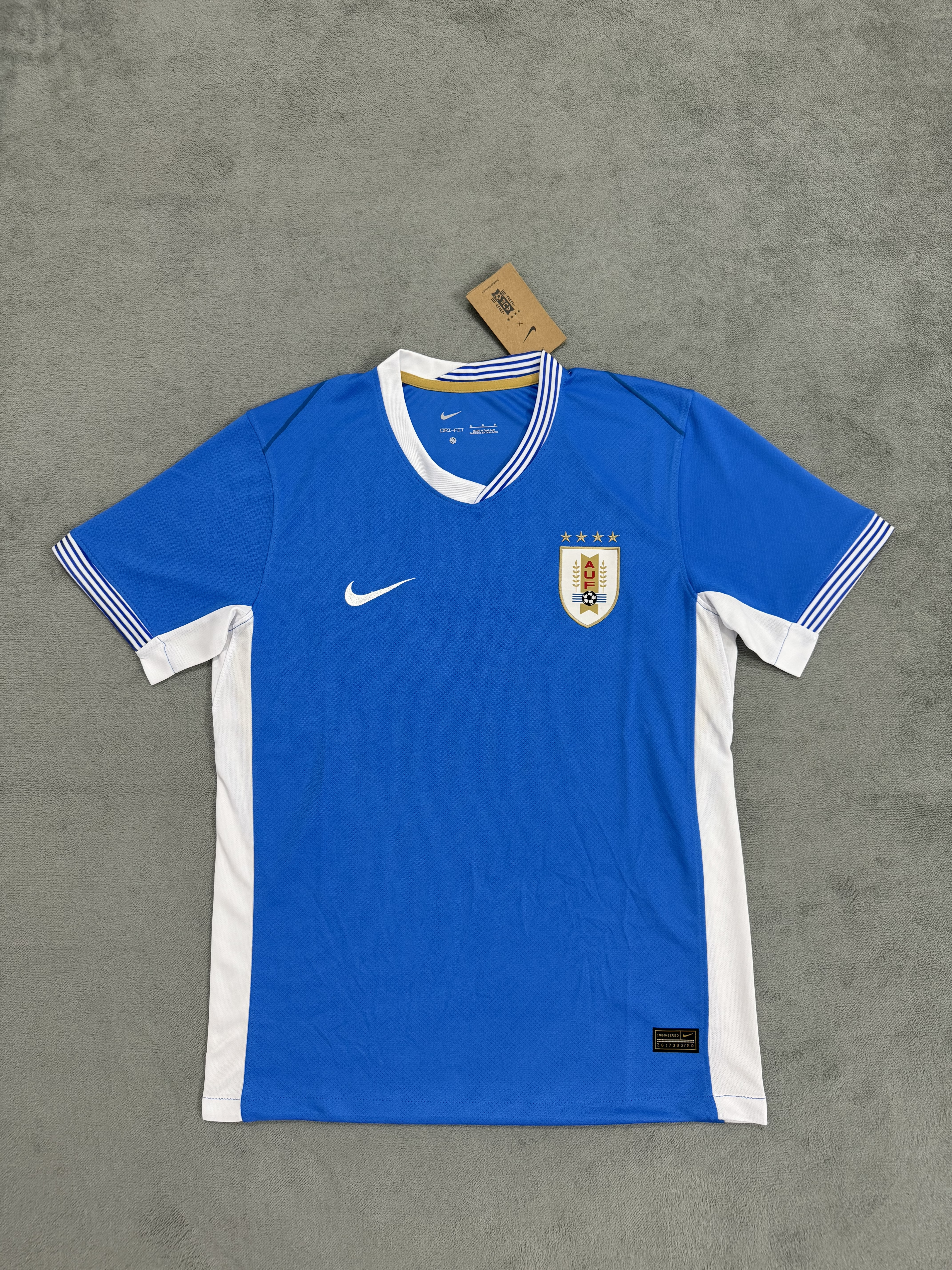 Fans Verison 24/25 Uruguay Special blue
