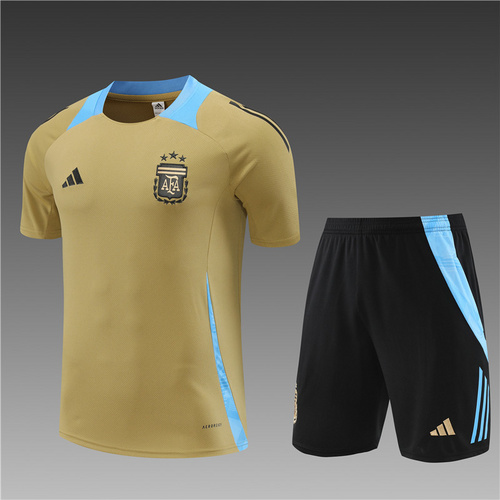 24/25  Argentina golden Training Kits