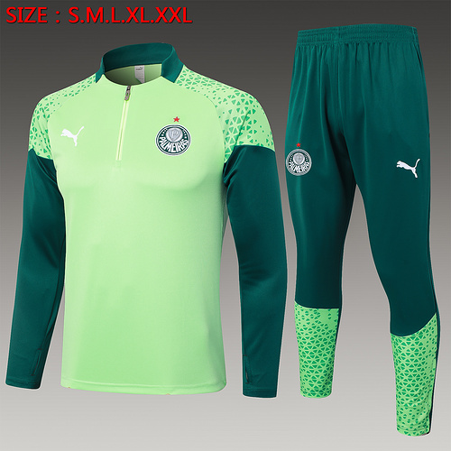 24/25 Palmeiras green Tracksuit