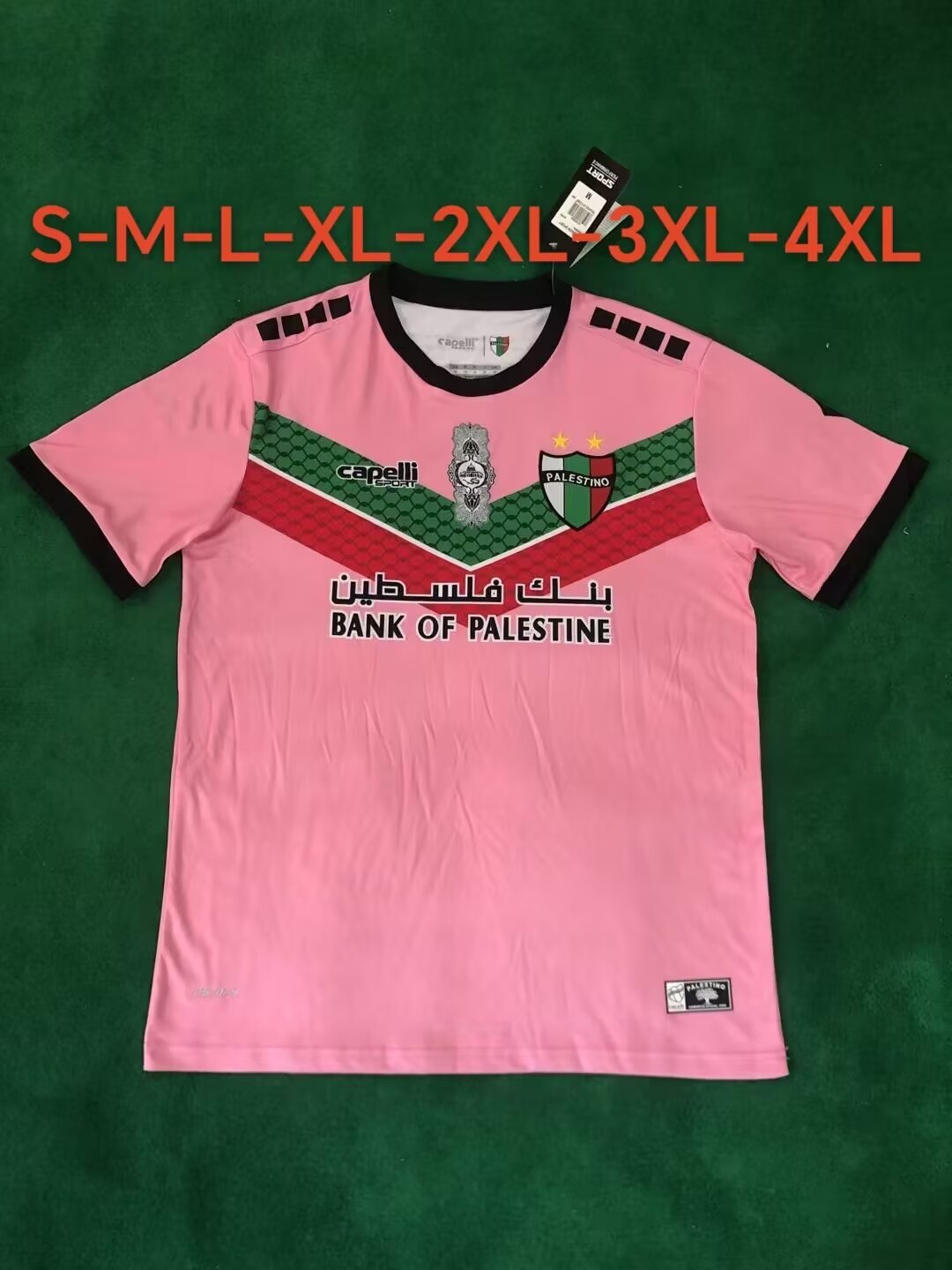 Fans Version 22/23 Palestine pink