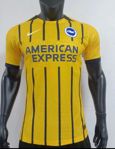 player version 24/25 Brighton&amp;Hove Albion Away 