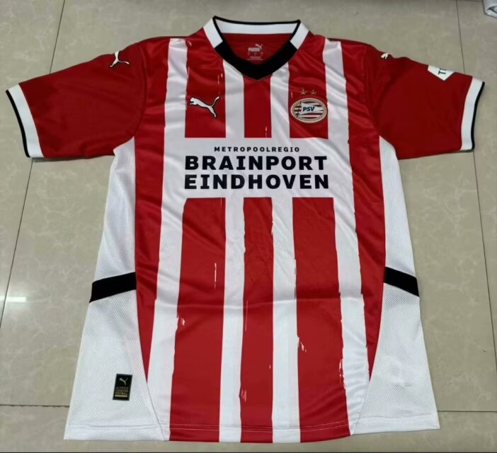 Fans Version 24/25 PSV home