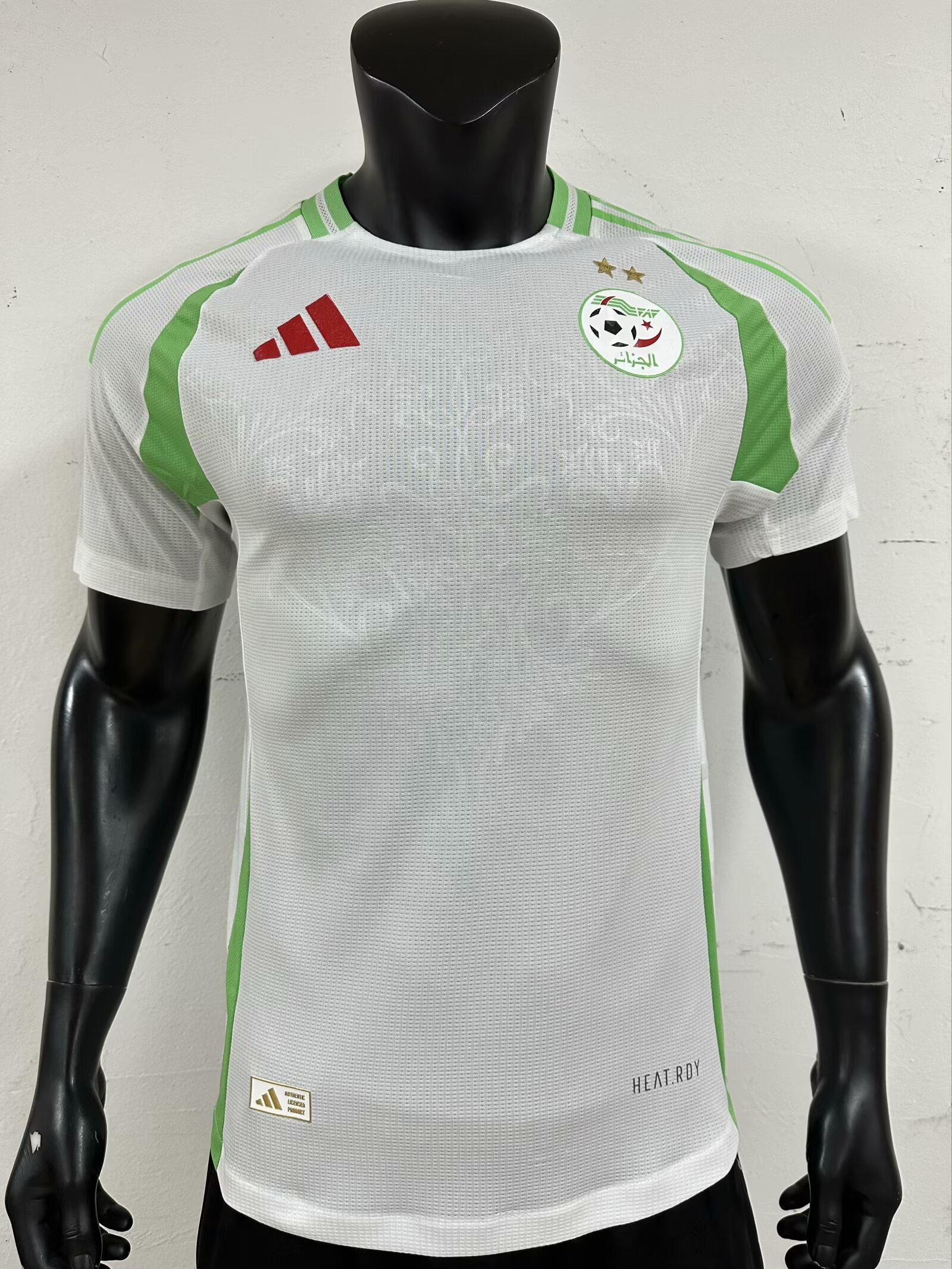 Player version 2024 Algeria home