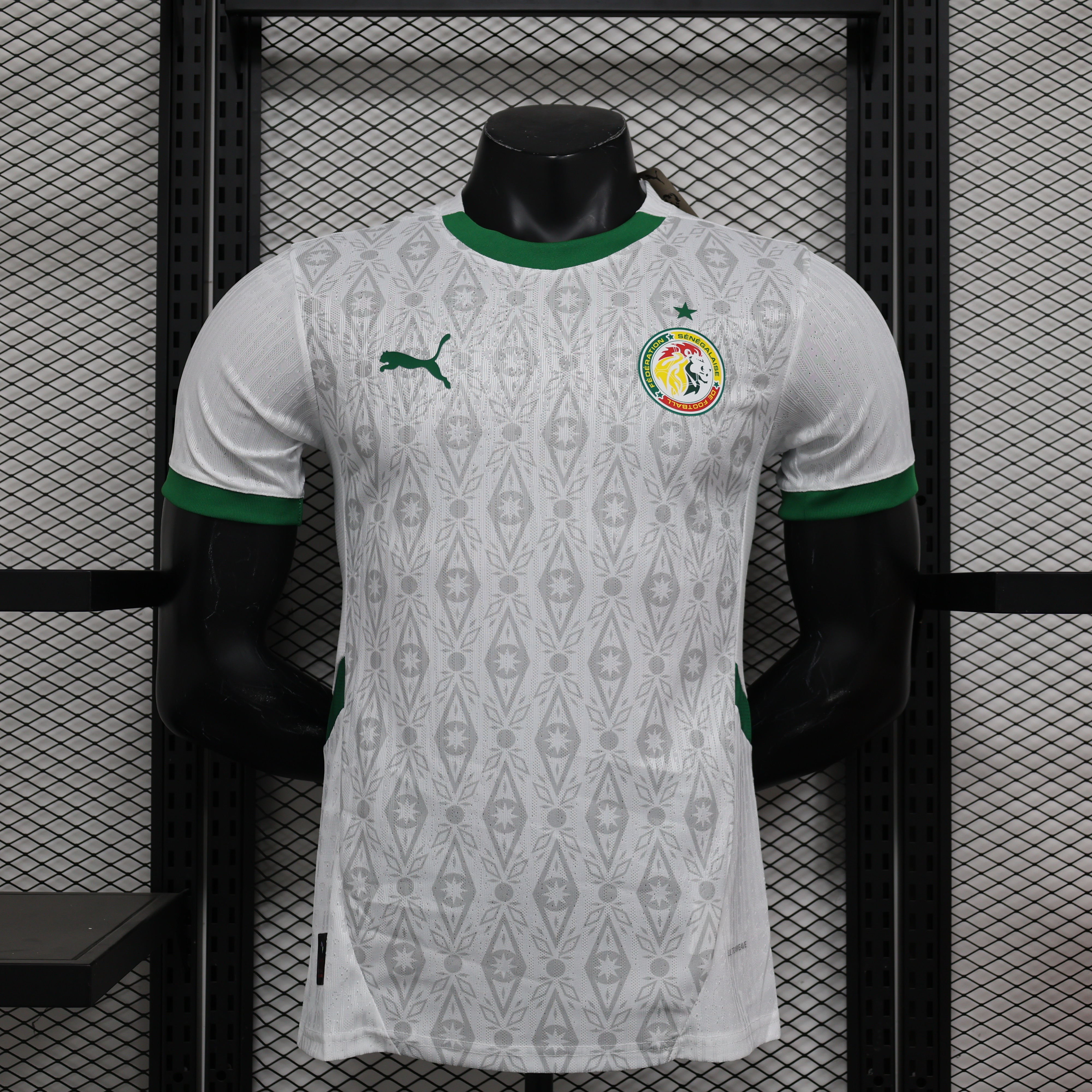 Player Version 24/25 Senegal  Home