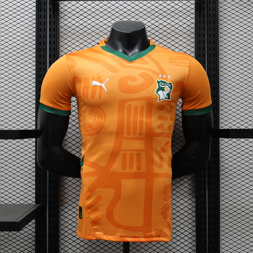 Player Version 24/25 Côte d’Ivoire home