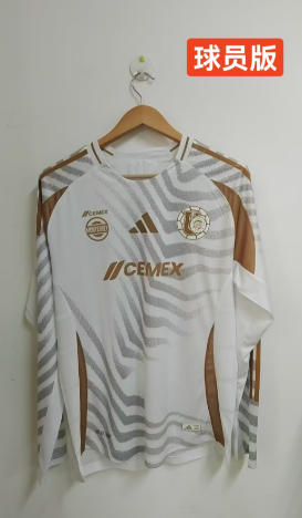 Player version 24/25 Tigres away