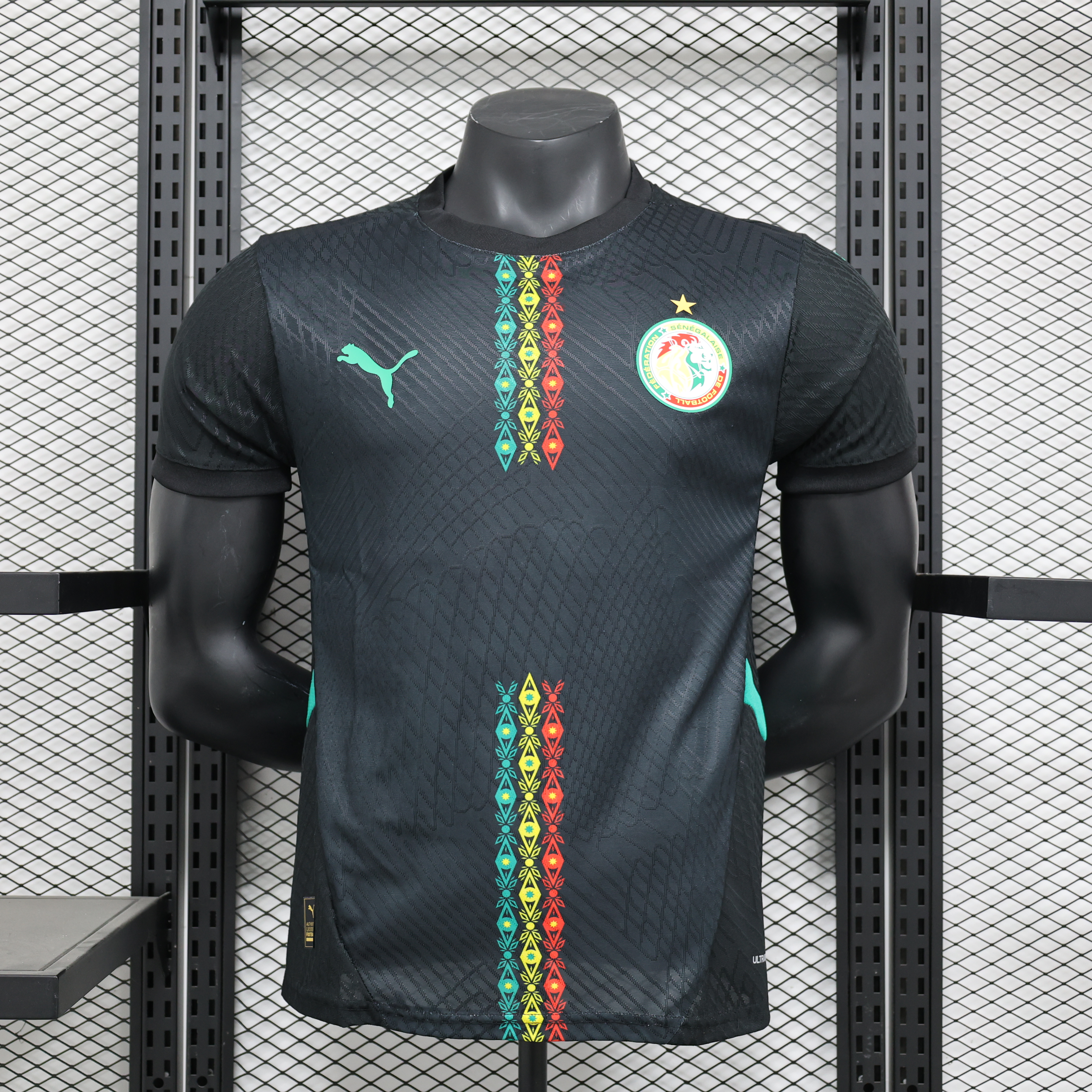 Player Version 24/25 Senegal Special Edition