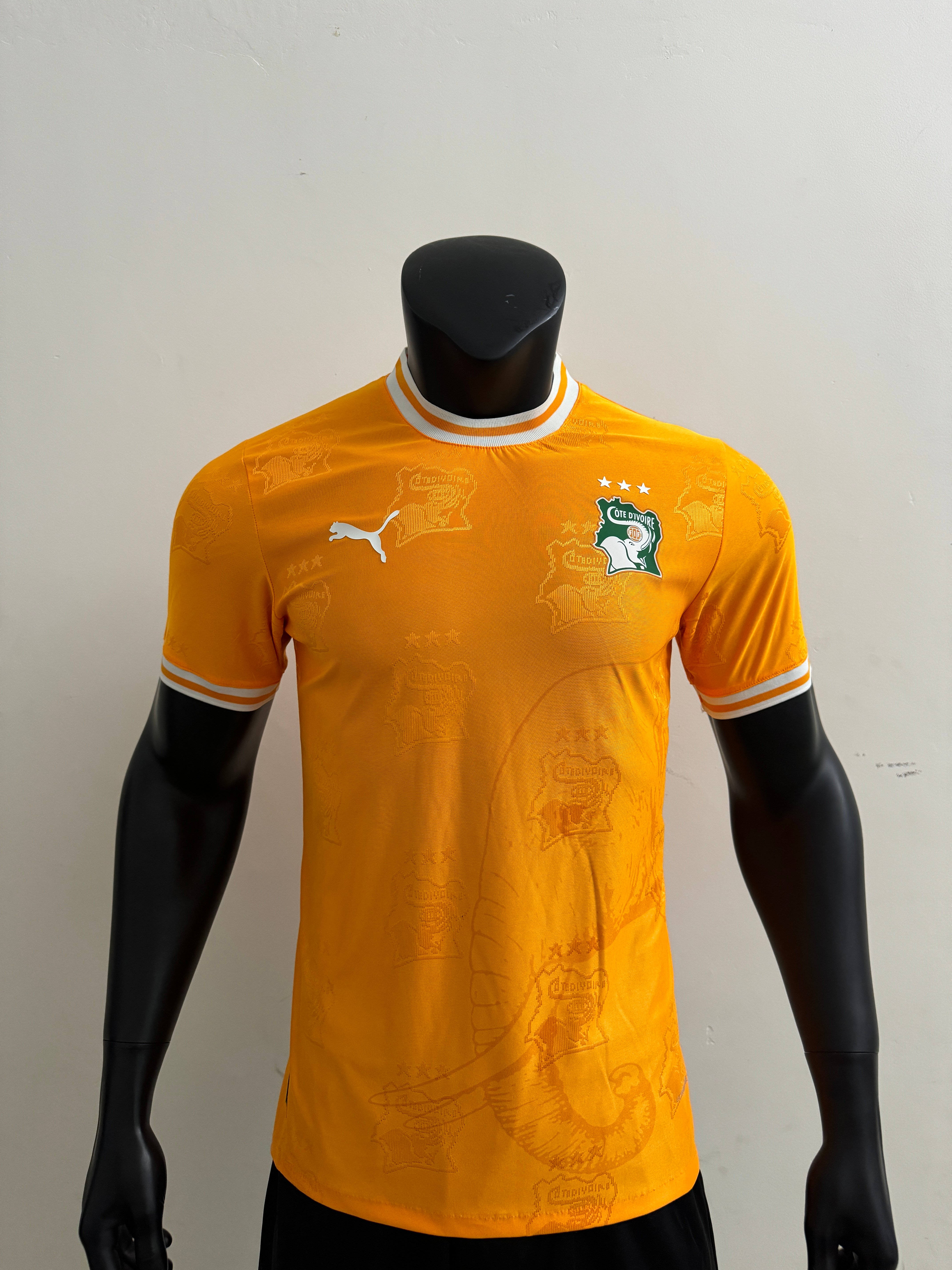  Player Version 25/26 Ivory Coast team logo orange  player