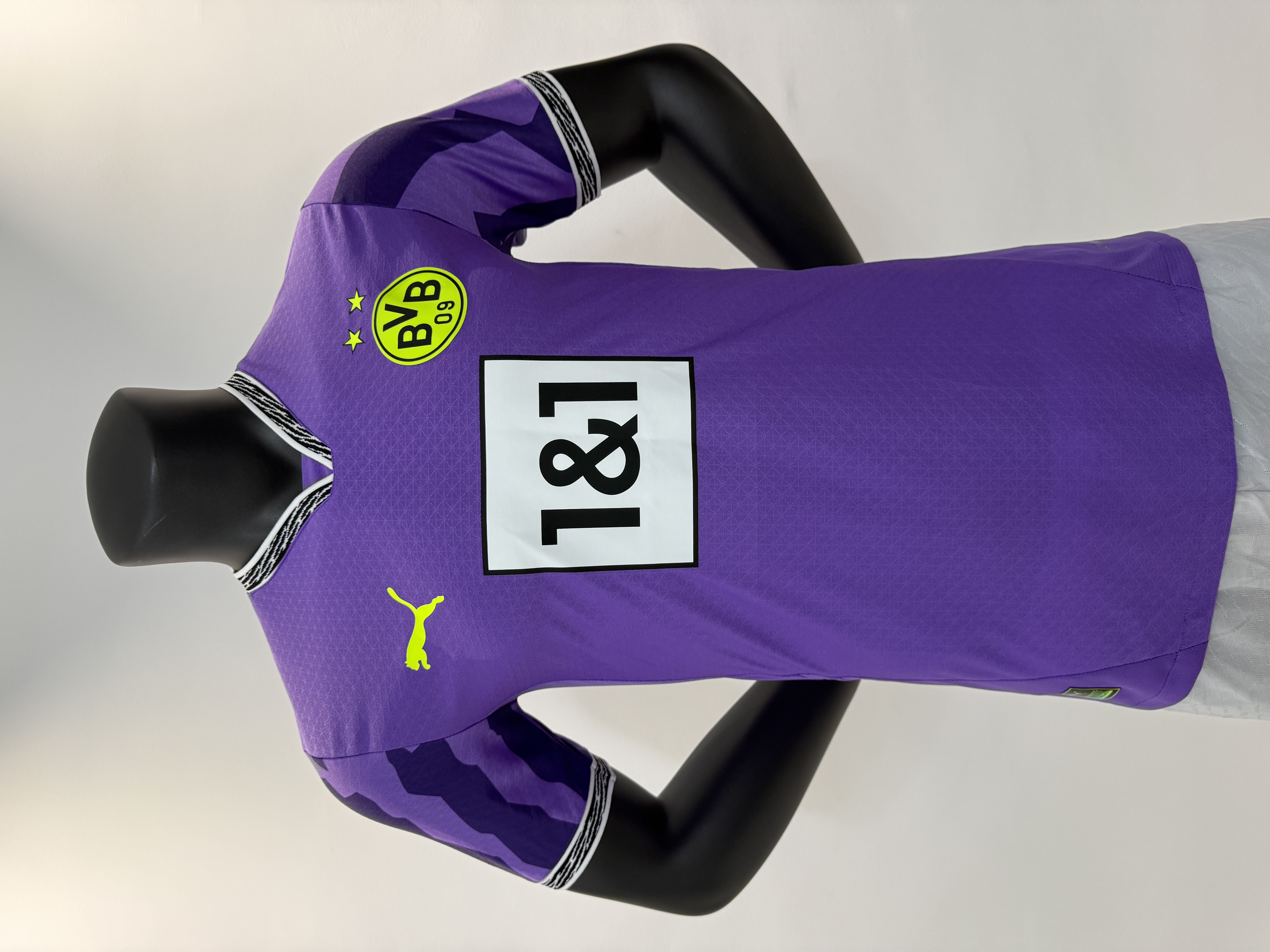 Player Version 25/26 Dortmund Purple Goalkeeper