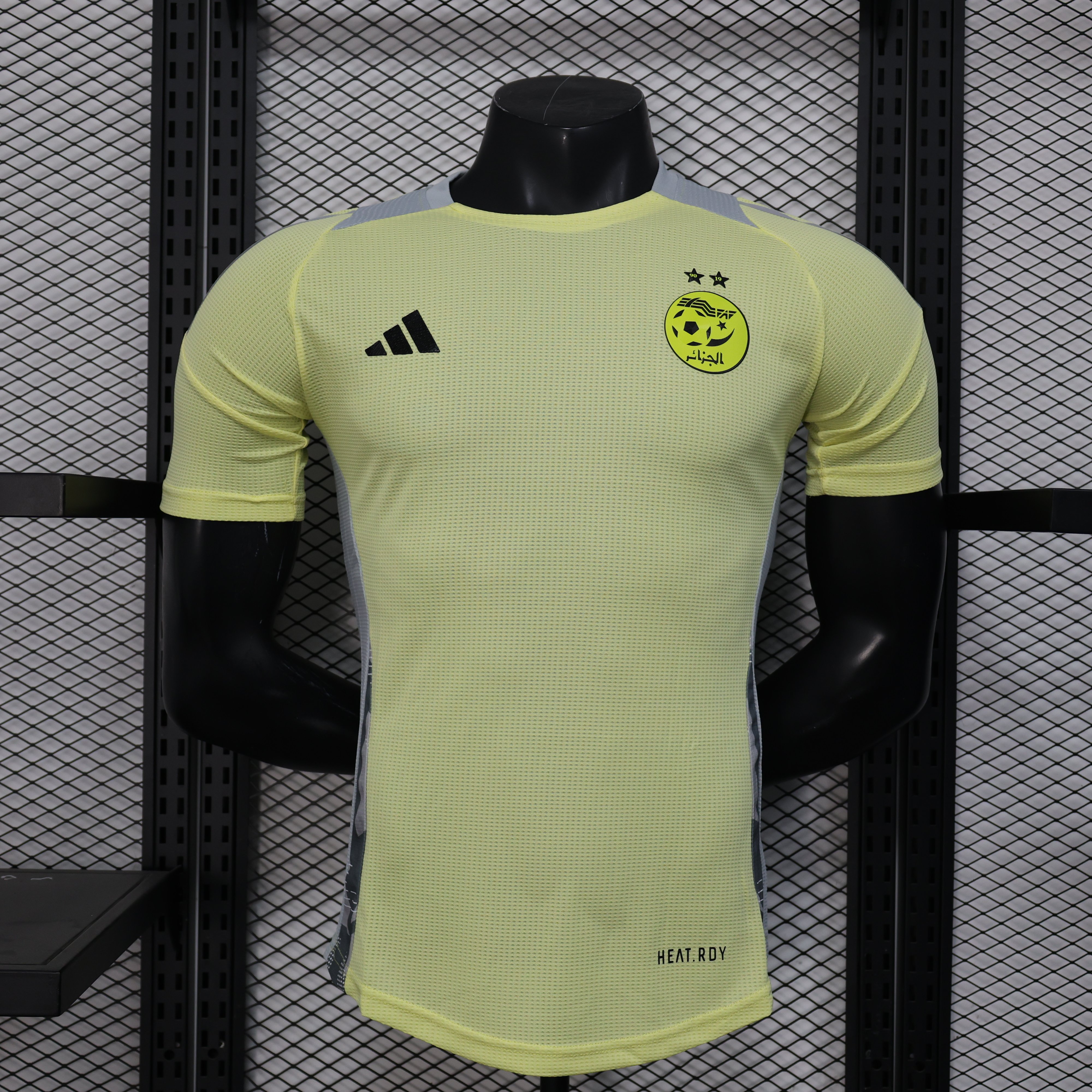 Player Version 25/26 Algeria