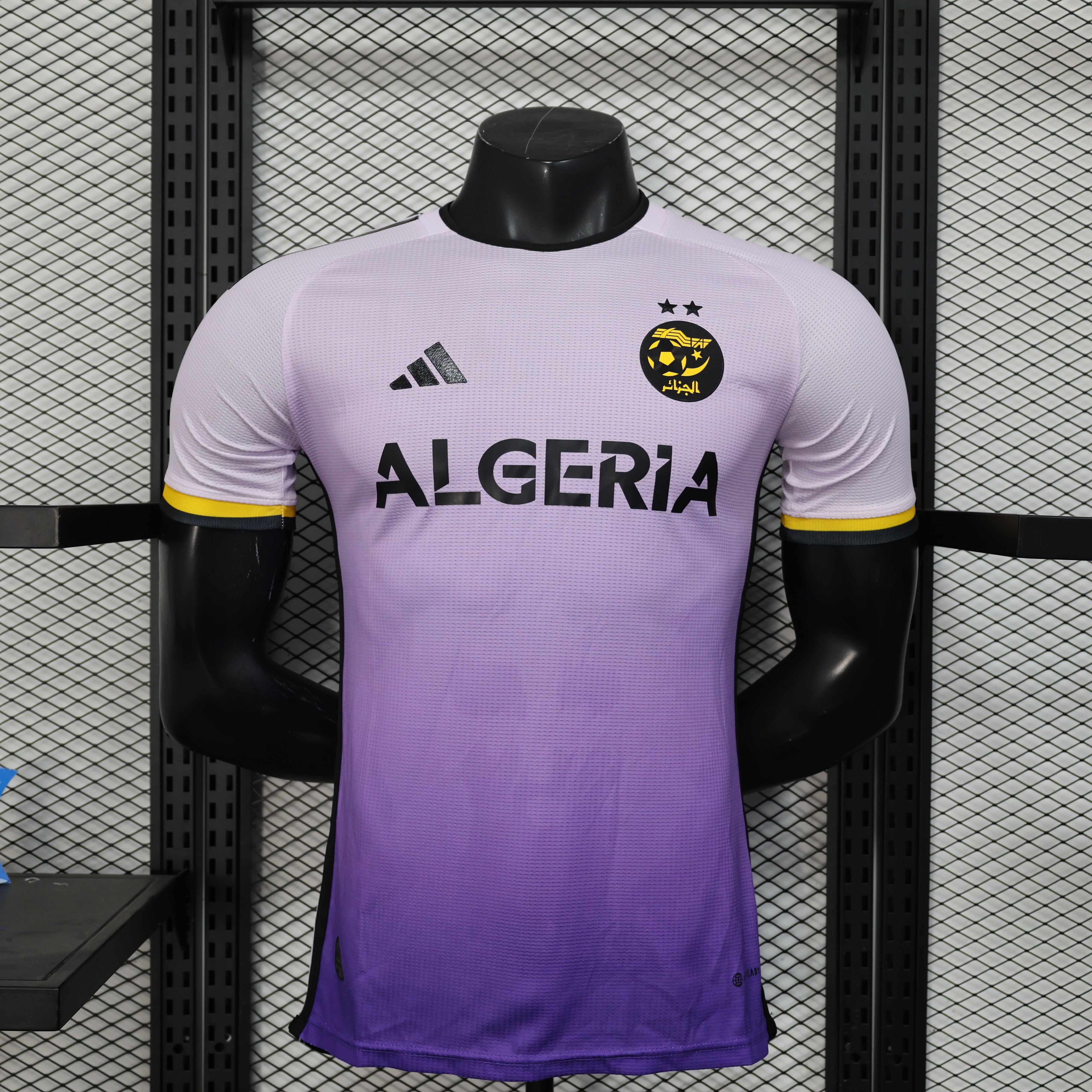 Player Version 25/26 Algerian Purple