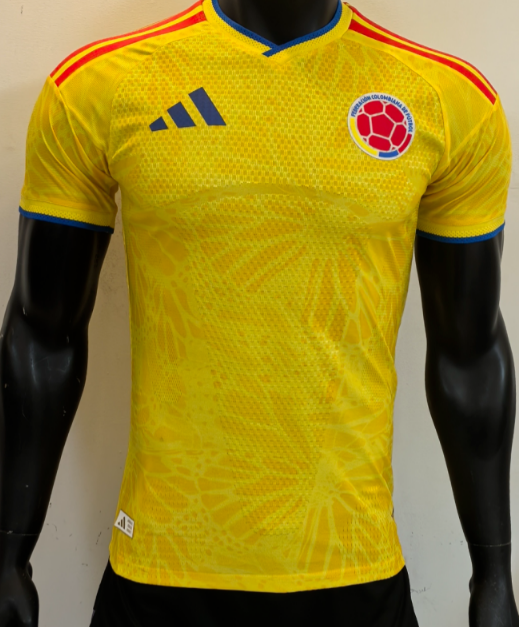 Player Version 25/26 Colombia Home