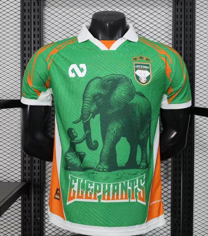 Player Version 25/26 Ivory Coast Special Edition