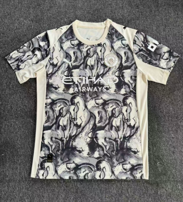 Fan version 25/26 Manchester City Special Edition