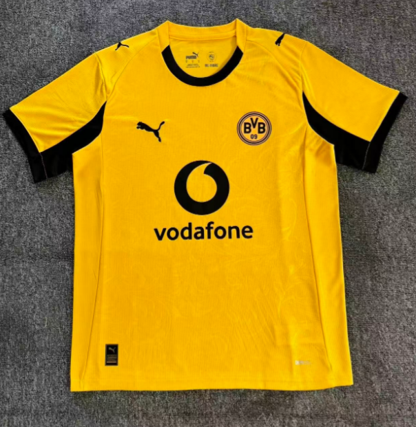 Fan version 25/26 Dortmund Cup Edition