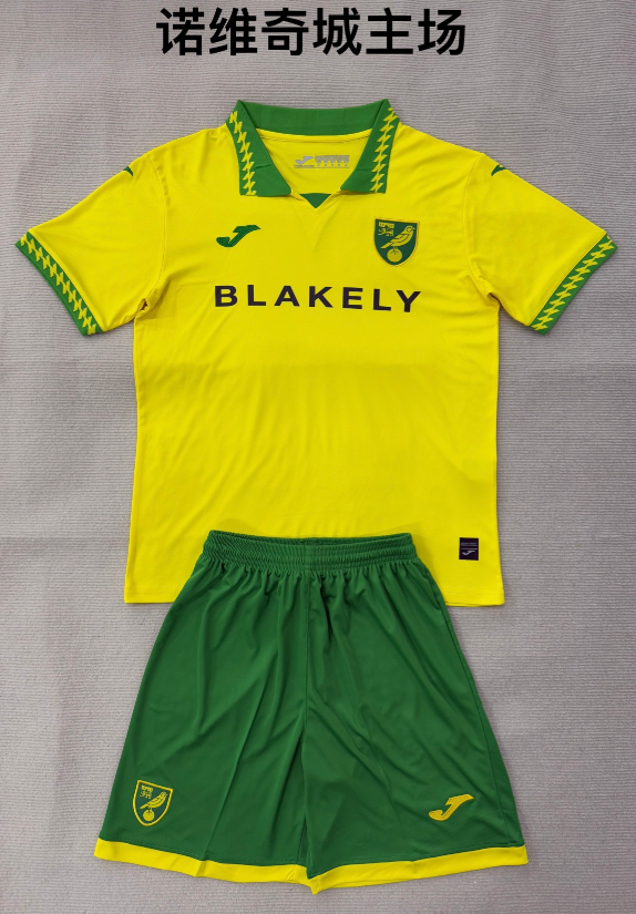 Adults kits 25/26 Norwich City home