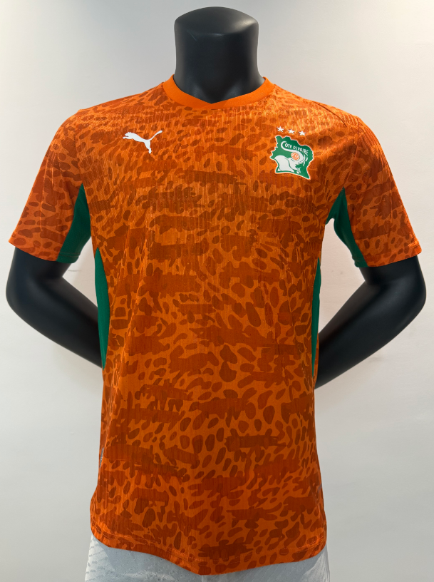 Player Version 26/27 Ivory Coast's home