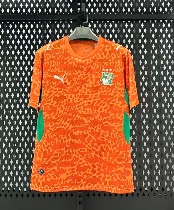  Fan version 26/27 Ivory Coast home