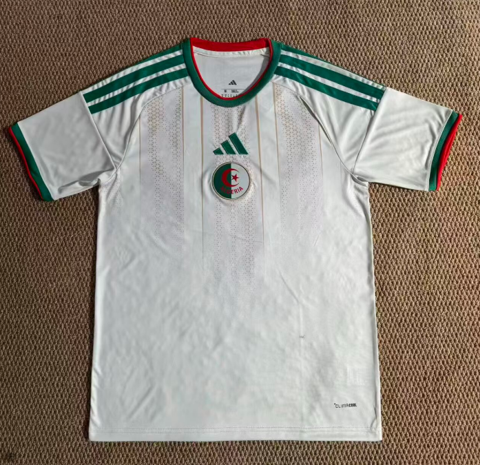 Fan version 25/26 Algeria home