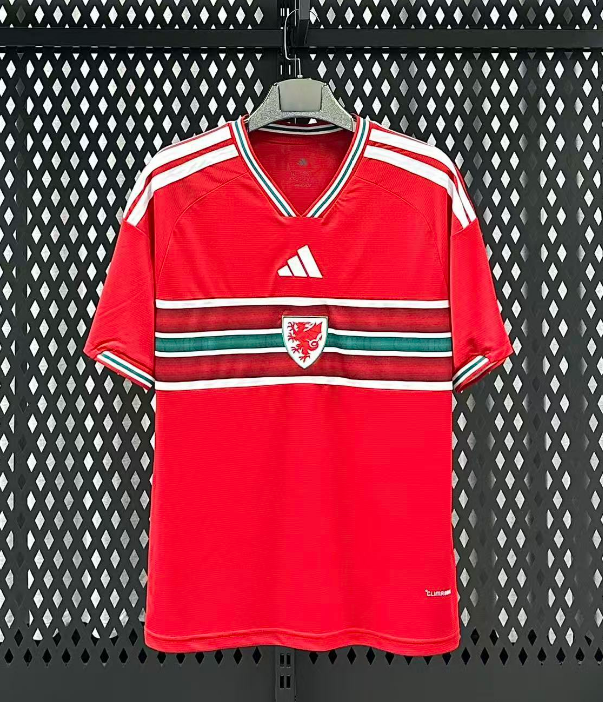 Fan version 26/27 Wales home
