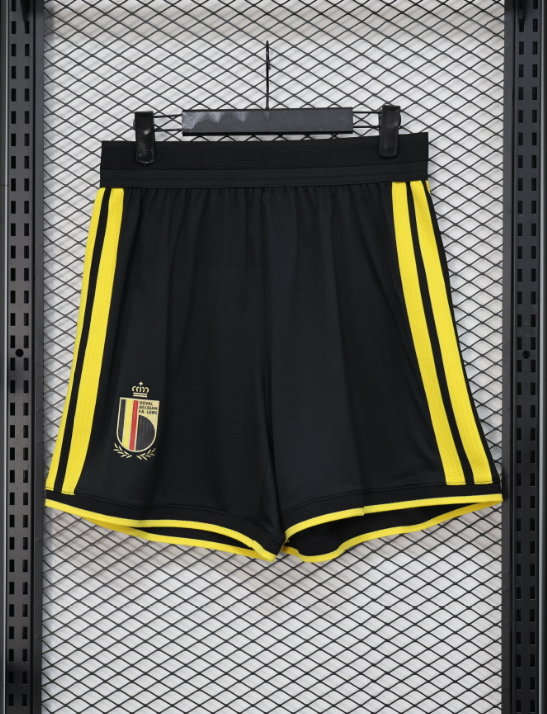  Player Version 26/27 Belgium shorts