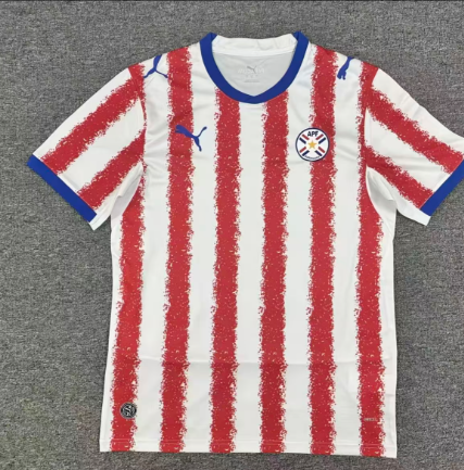 Fan version 26/27 Uruguay home