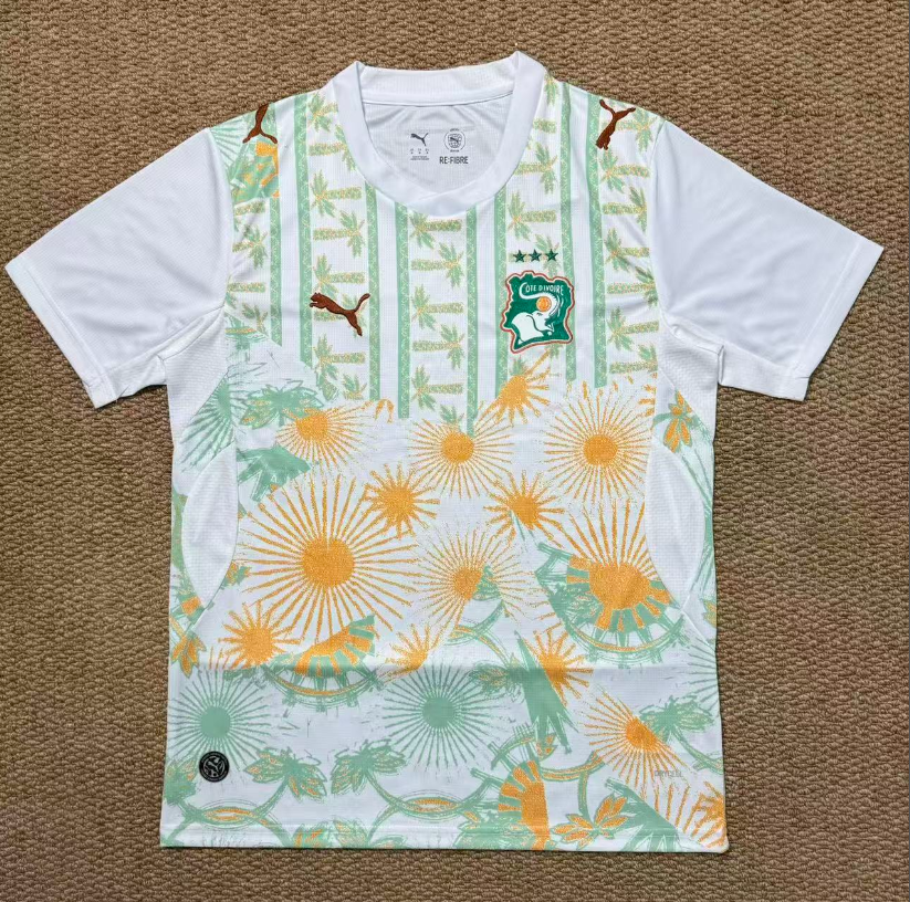 Fans Version 26/27 Ivory Coast away 