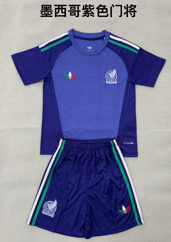 kids Kits 26/27 Mexican Purple Goalkeeper