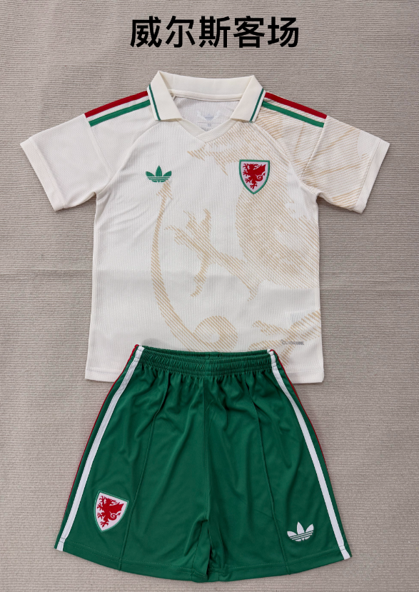 Adults kits 26/27 Wales away