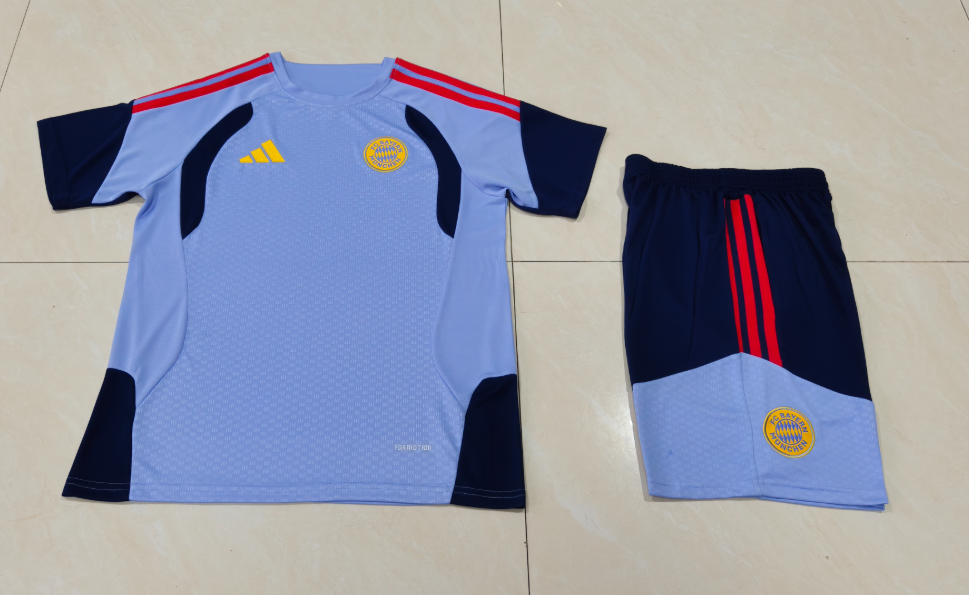 26/27 Adults Bayern Munchen gray blue Training Kits